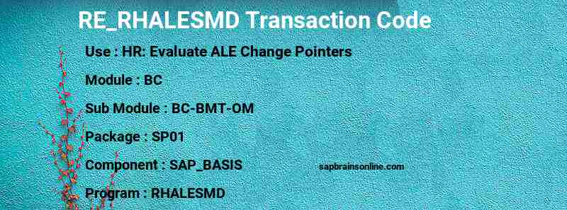 SAP RE_RHALESMD transaction code