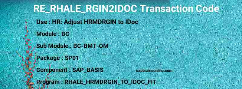 SAP RE_RHALE_RGIN2IDOC transaction code