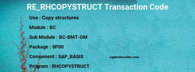 SAP RE_RHCOPYSTRUCT transaction code