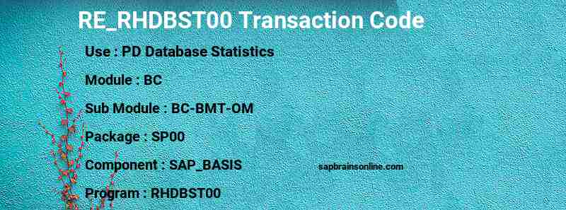 SAP RE_RHDBST00 transaction code