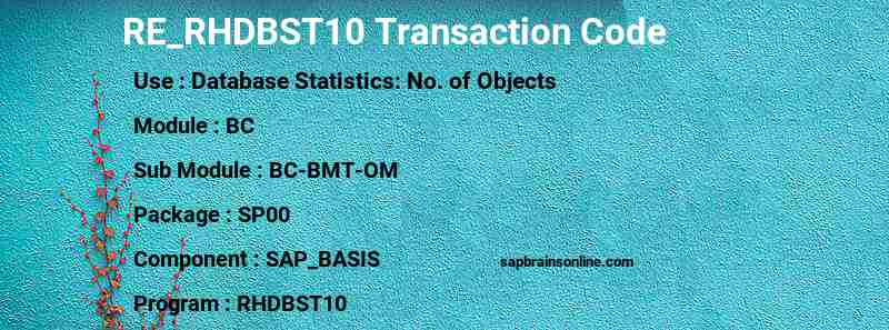 SAP RE_RHDBST10 transaction code