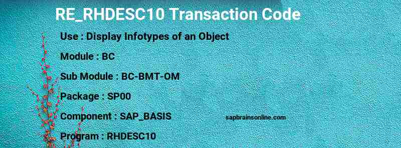 SAP RE_RHDESC10 transaction code
