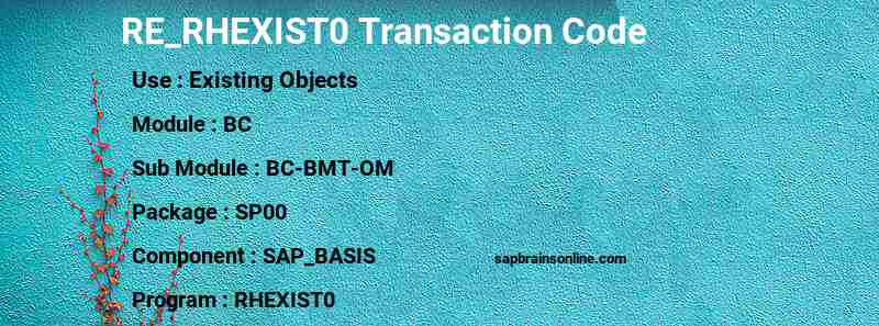 SAP RE_RHEXIST0 transaction code