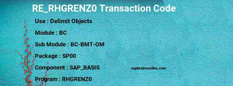 SAP RE_RHGRENZ0 transaction code