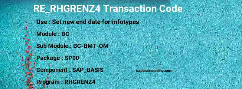 SAP RE_RHGRENZ4 transaction code
