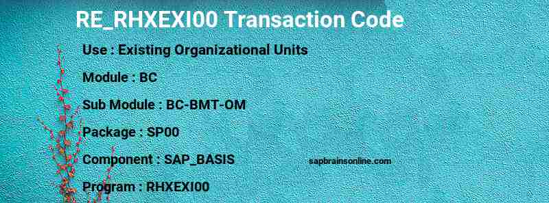 SAP RE_RHXEXI00 transaction code