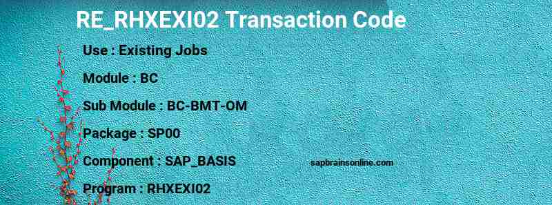SAP RE_RHXEXI02 transaction code