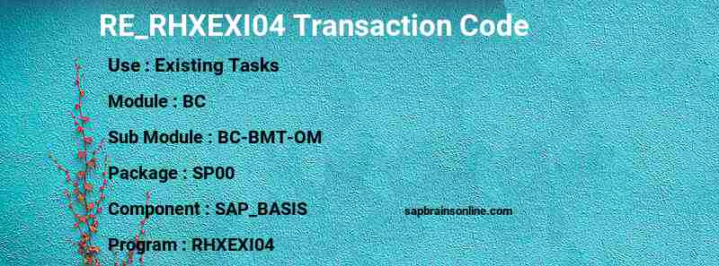 SAP RE_RHXEXI04 transaction code
