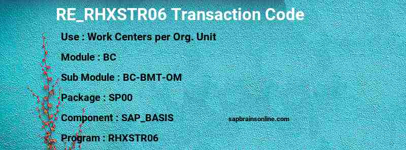 SAP RE_RHXSTR06 transaction code