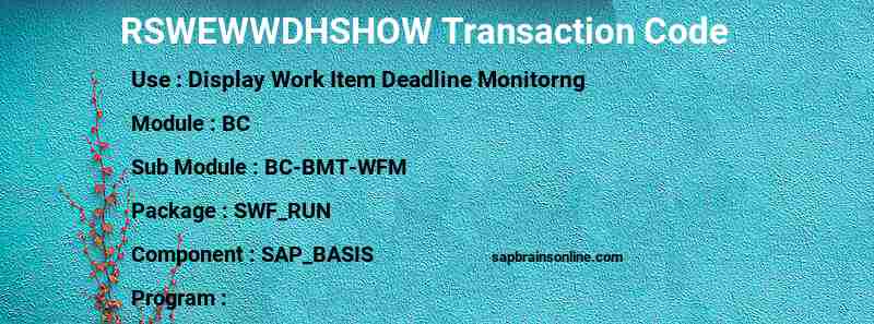 SAP RSWEWWDHSHOW transaction code