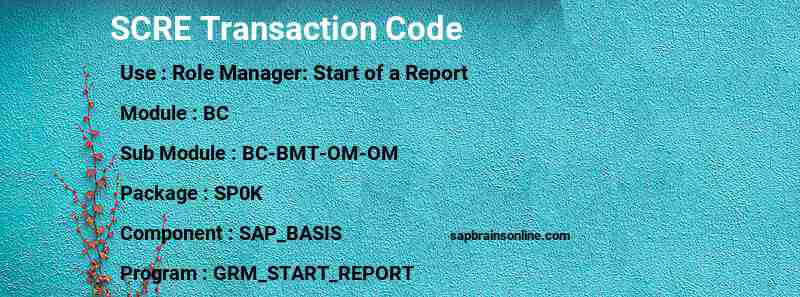 SAP SCRE transaction code