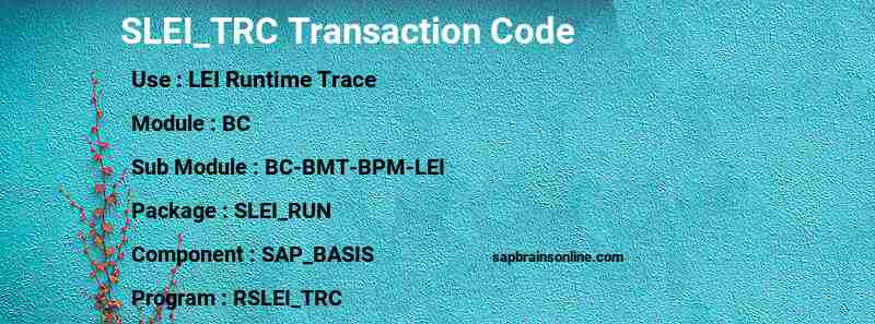 SAP SLEI_TRC transaction code