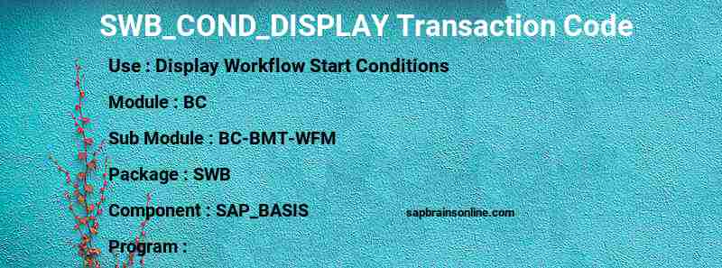 SAP SWB_COND_DISPLAY transaction code