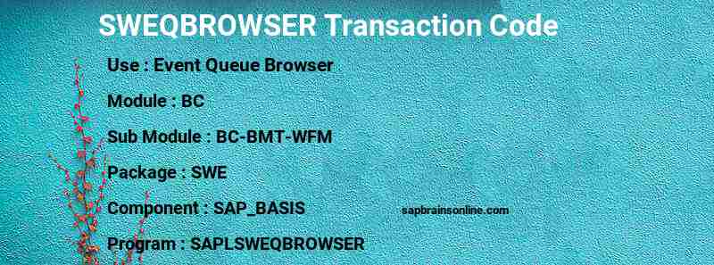 SAP SWEQBROWSER transaction code