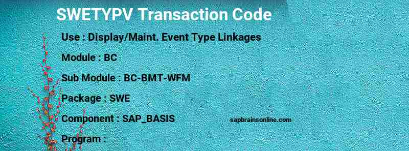 SAP SWETYPV transaction code