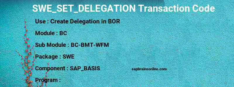 SAP SWE_SET_DELEGATION transaction code