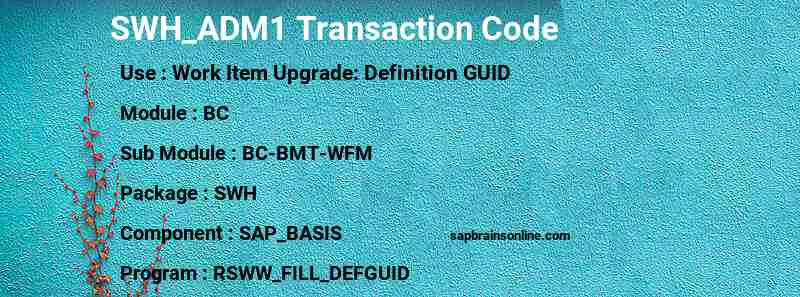 SAP SWH_ADM1 transaction code