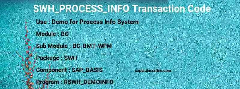 SAP SWH_PROCESS_INFO transaction code