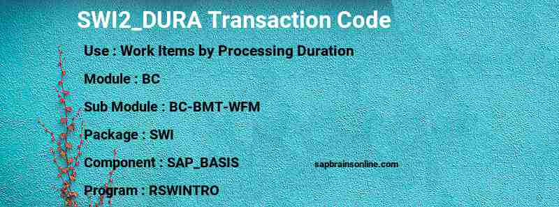 SAP SWI2_DURA transaction code
