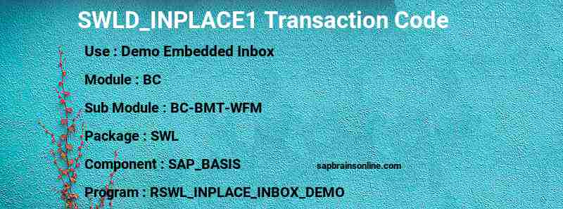 SAP SWLD_INPLACE1 transaction code