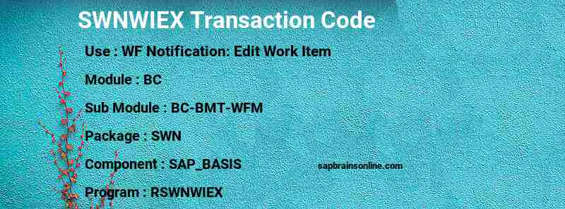 SAP SWNWIEX transaction code