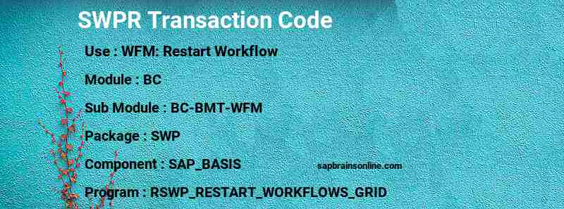 SAP SWPR transaction code