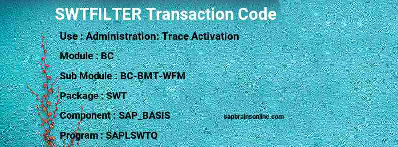 SAP SWTFILTER transaction code