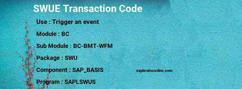 SAP SWUE transaction code