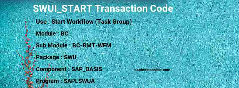 SAP SWUI_START transaction code