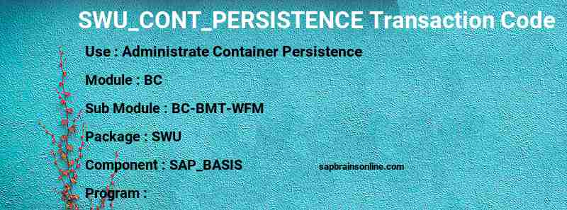 SAP SWU_CONT_PERSISTENCE transaction code