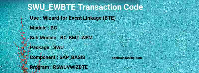 SAP SWU_EWBTE transaction code