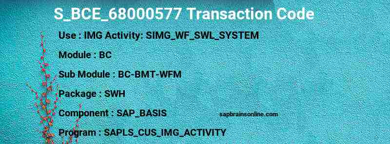SAP S_BCE_68000577 transaction code
