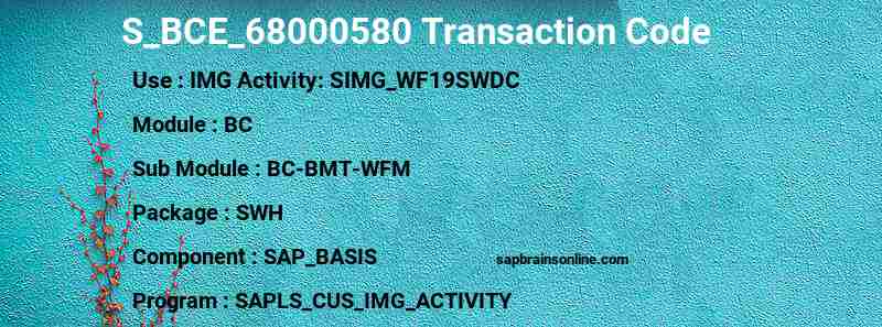 SAP S_BCE_68000580 transaction code