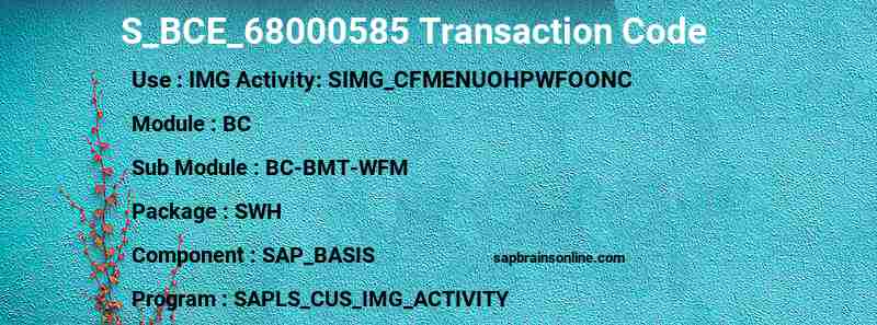 SAP S_BCE_68000585 transaction code
