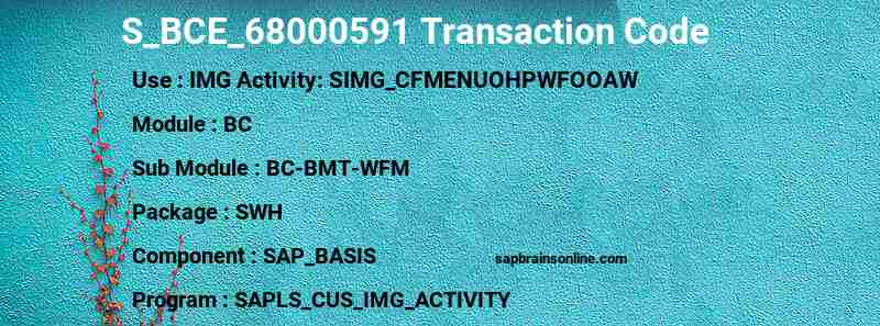 SAP S_BCE_68000591 transaction code