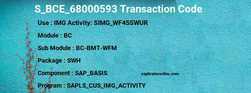 SAP S_BCE_68000593 transaction code