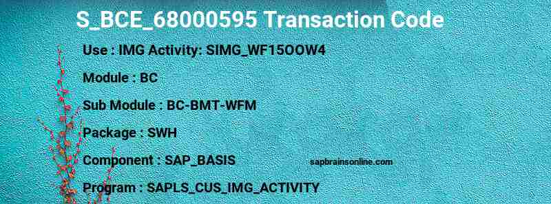 SAP S_BCE_68000595 transaction code