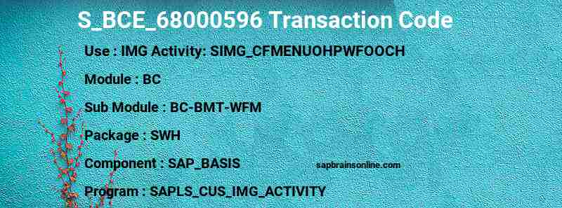 SAP S_BCE_68000596 transaction code