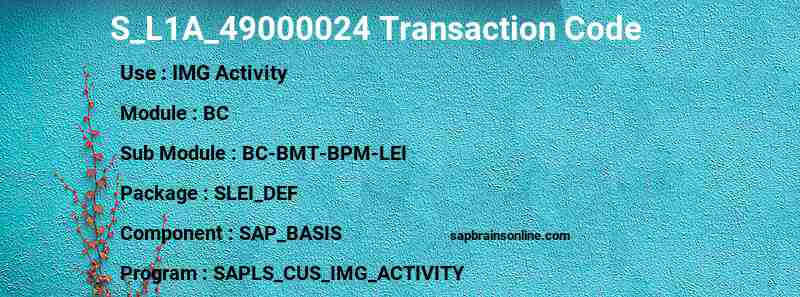 SAP S_L1A_49000024 transaction code