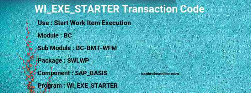 SAP WI_EXE_STARTER transaction code