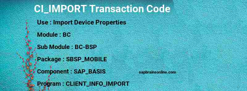 SAP CI_IMPORT transaction code