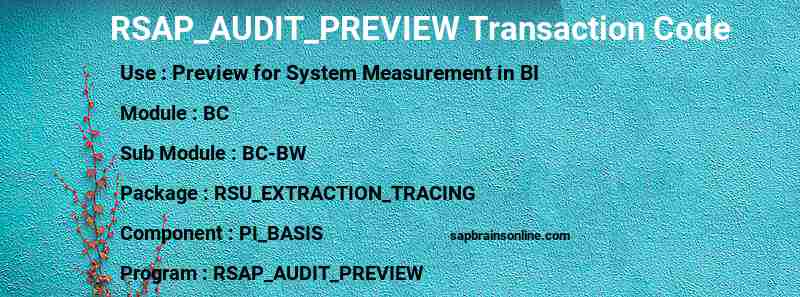 SAP RSAP_AUDIT_PREVIEW transaction code