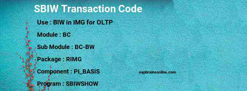 SAP SBIW transaction code