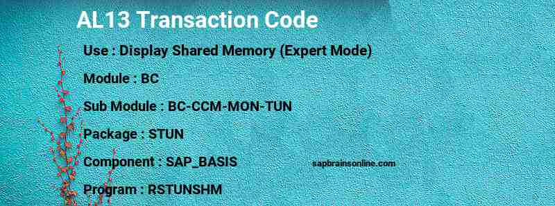 SAP AL13 transaction code