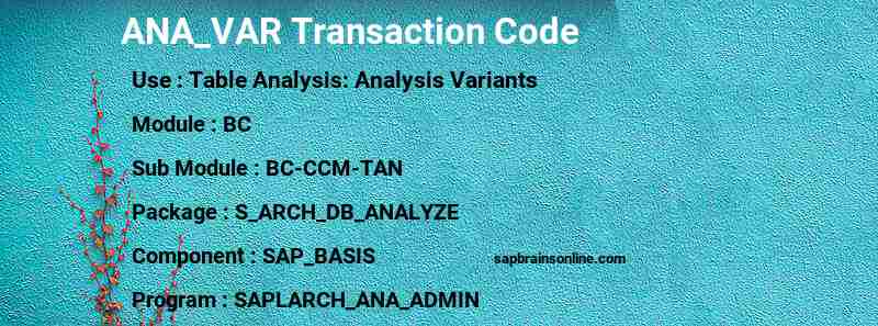 SAP ANA_VAR transaction code