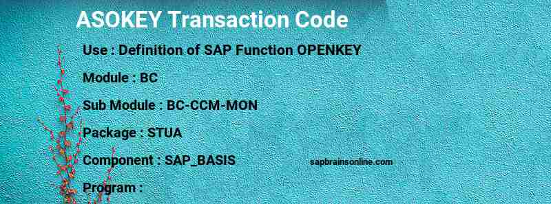 SAP ASOKEY transaction code