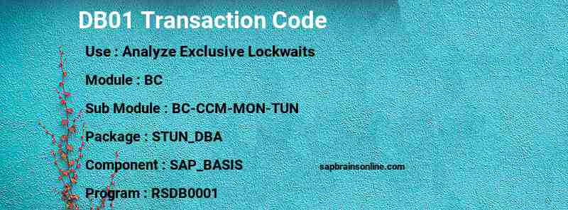 SAP DB01 transaction code