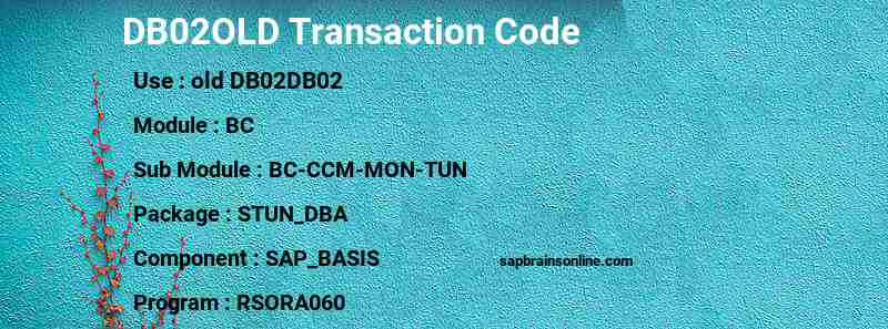 SAP DB02OLD transaction code