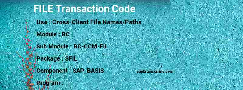 SAP FILE transaction code