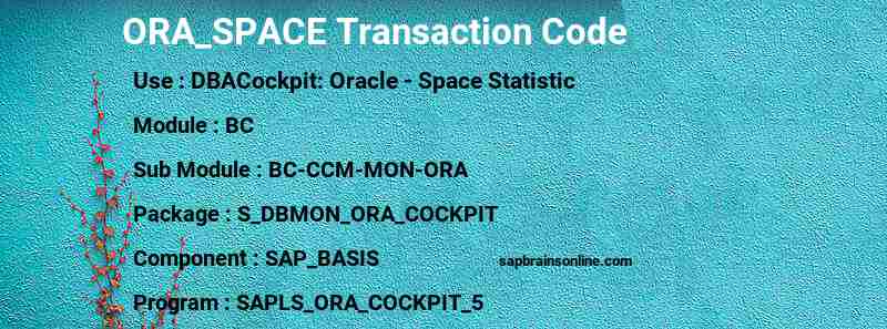 SAP ORA_SPACE transaction code